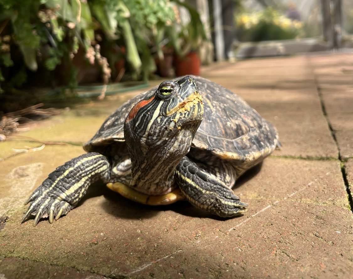 Best of Rochester Staff Picks: Recreation